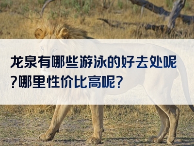龙泉有哪些游泳的好去处呢？哪里性价比高呢？