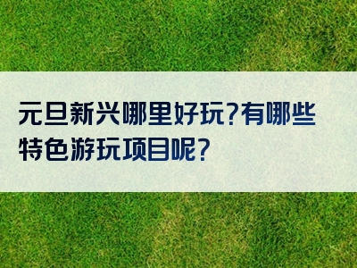 元旦新兴哪里好玩？有哪些特色游玩项目呢？