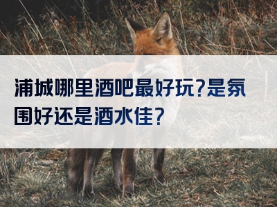 浦城哪里酒吧最好玩？是氛围好还是酒水佳？<