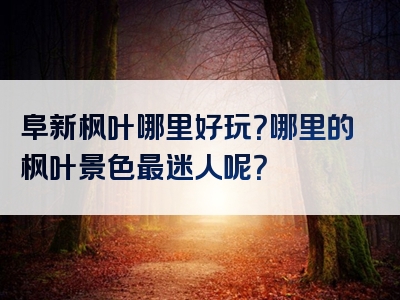 阜新枫叶哪里好玩？哪里的枫叶景色最迷人呢？