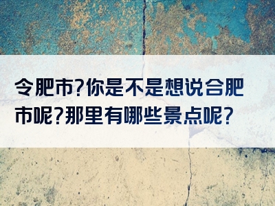 令肥市？你是不是想说合肥市呢？那里有哪些景点呢？