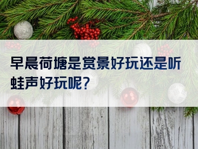 早晨荷塘是赏景好玩还是听蛙声好玩呢？