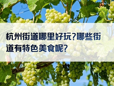 杭州街道哪里好玩？哪些街道有特色美食呢？