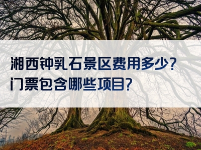 湘西钟乳石景区费用多少？门票包含哪些项目？