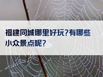 福建同城哪里好玩？有哪些小众景点呢？