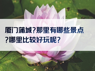 厦门蒲城？那里有哪些景点？哪里比较好玩呢？