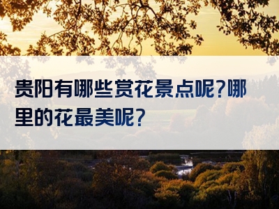 贵阳有哪些赏花景点呢？哪里的花最美呢？