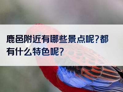鹿邑附近有哪些景点呢？都有什么特色呢？
