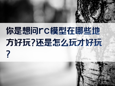 你是想问rc模型在哪些地方好玩？还是怎么玩才好玩？