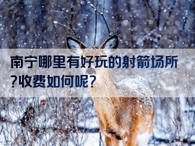 南宁哪里有好玩的射箭场所？收费如何呢？
