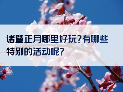 诸暨正月哪里好玩？有哪些特别的活动呢？