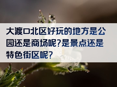 大渡口北区好玩的地方是公园还是商场呢？是景点还是特色街区呢？