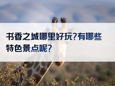 书香之城哪里好玩？有哪些特色景点呢？