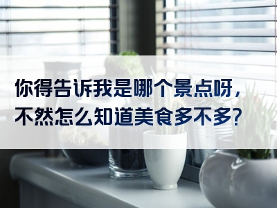 你得告诉我是哪个景点呀，不然怎么知道美食多不多？