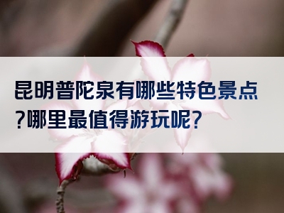 昆明普陀泉有哪些特色景点？哪里最值得游玩呢？