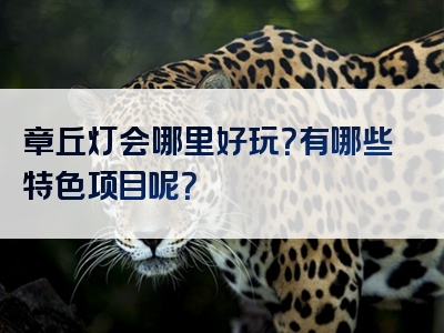 章丘灯会哪里好玩？有哪些特色项目呢？