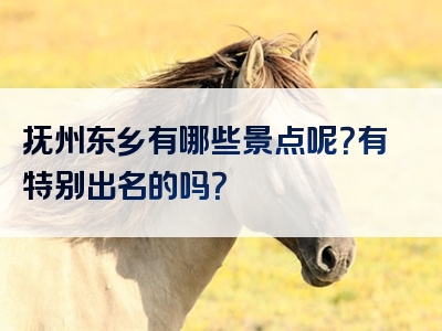 抚州东乡有哪些景点呢？有特别出名的吗？<